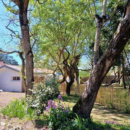 Maison A Pied Holiday home *